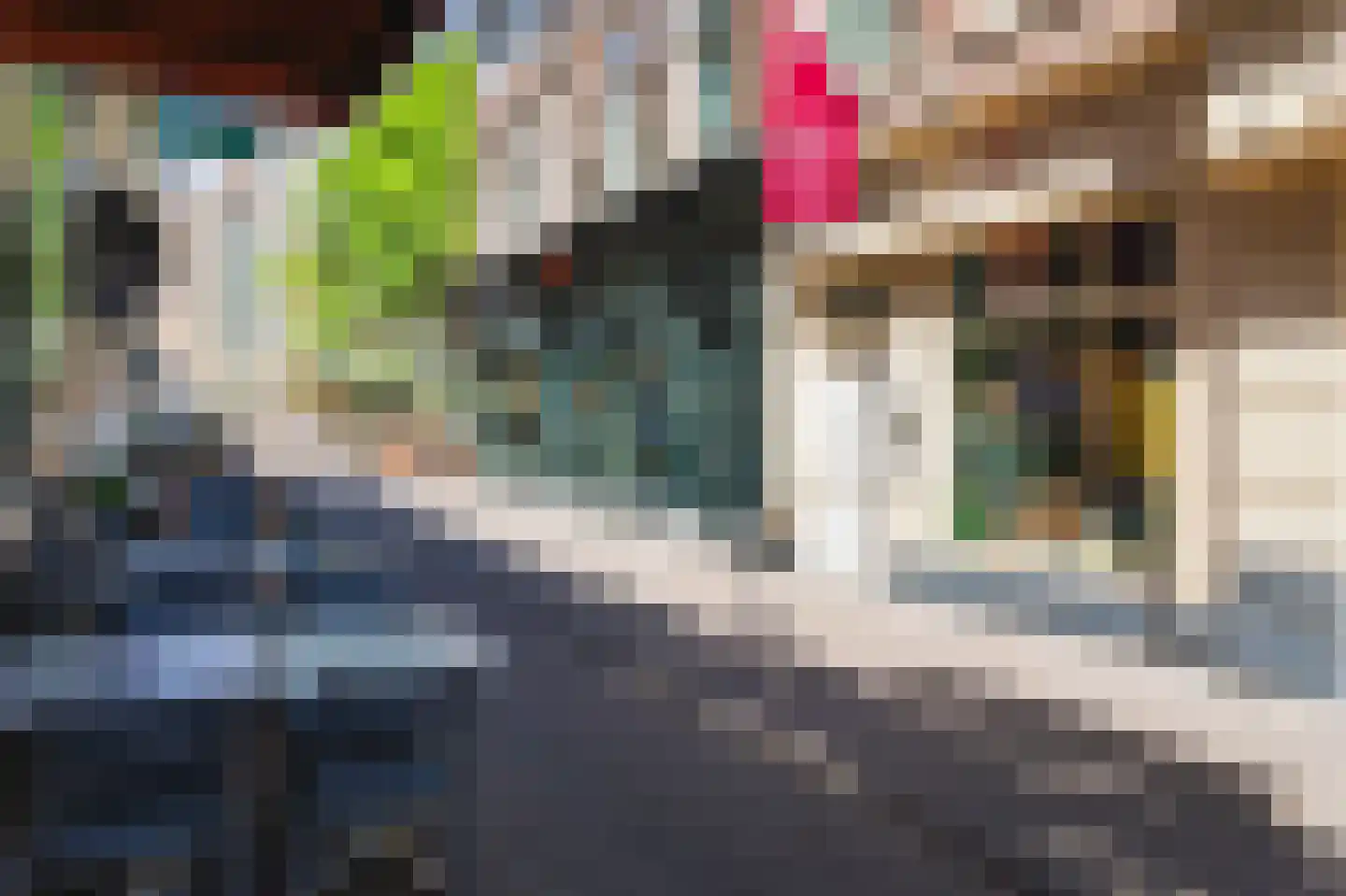 Schoolstraat 6 B Den Haag thumbnail 27