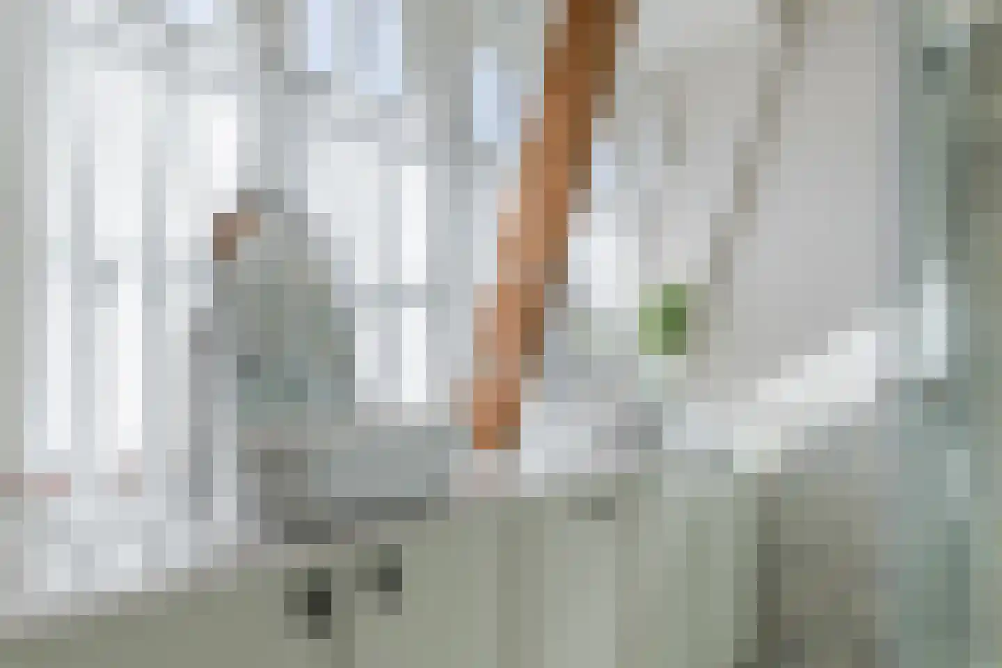 Schoolstraat 6 Baarn thumbnail 28