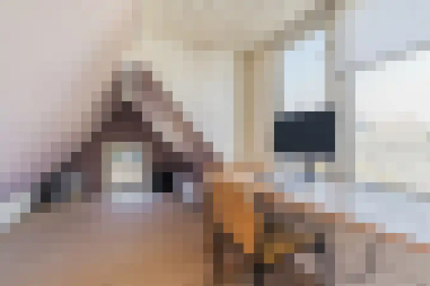 Schoolstraat 6 Baarn thumbnail 37