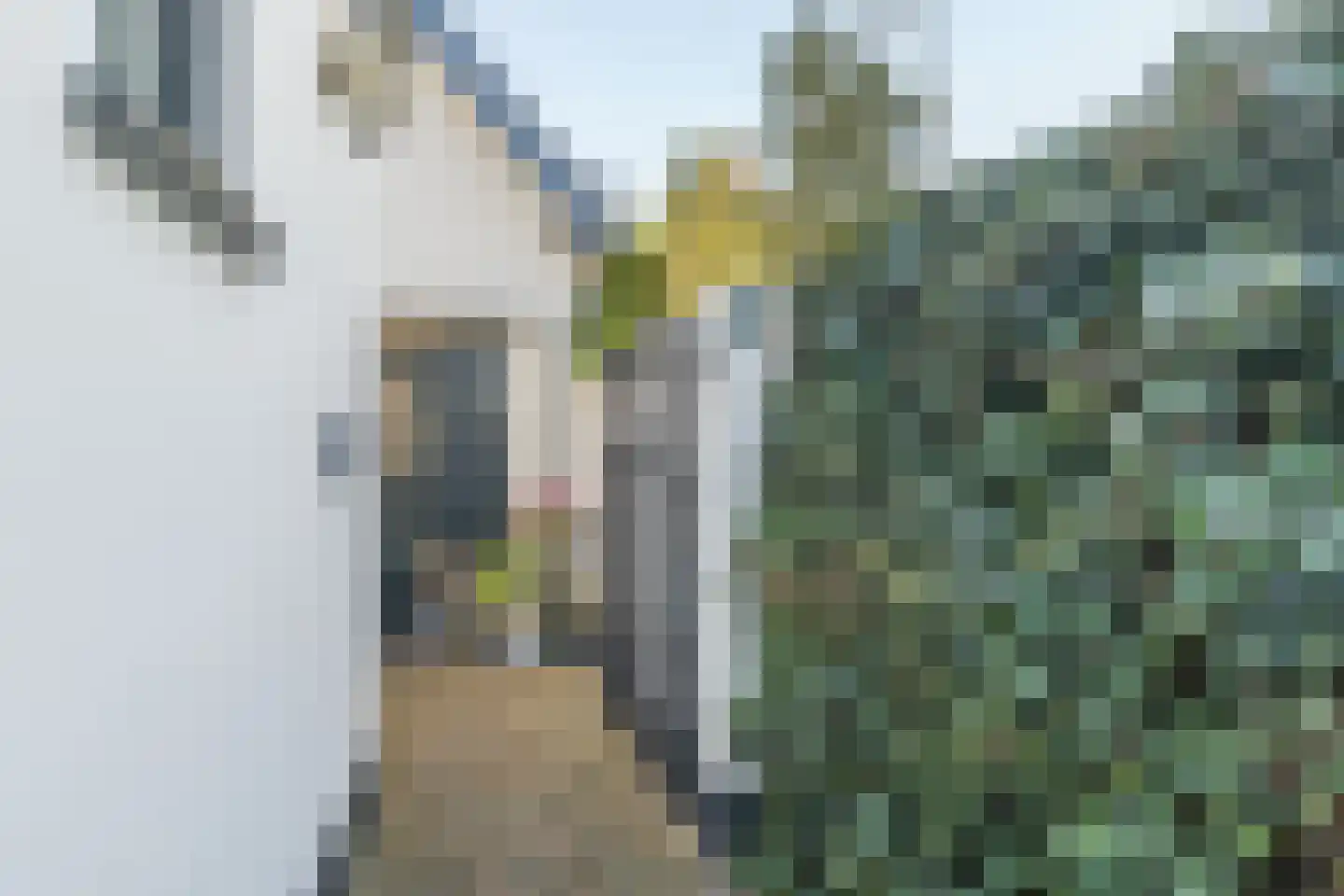 Schoolstraat 6 Baarn thumbnail 45