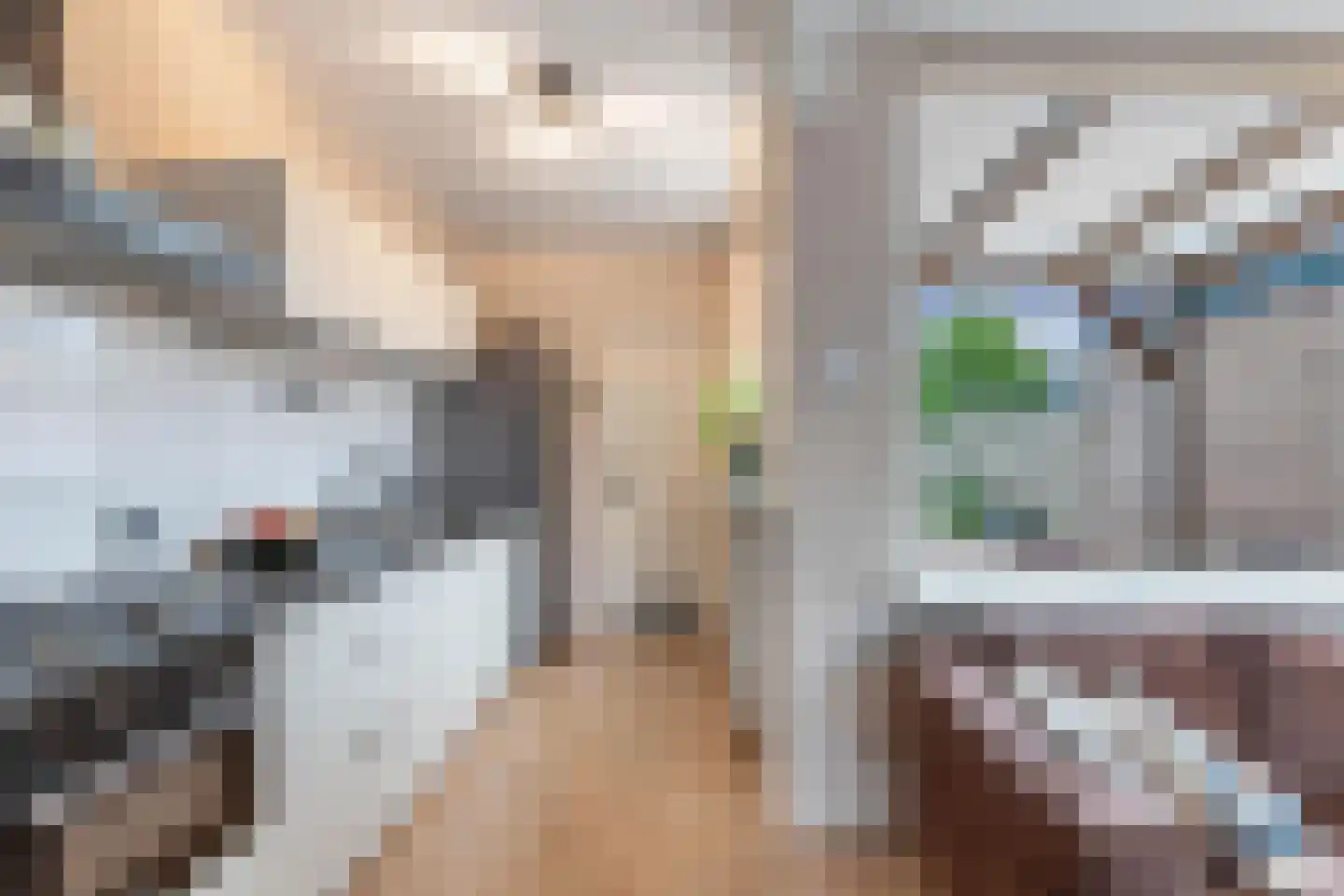 Schoolstraat 6 Burgwerd thumbnail 15