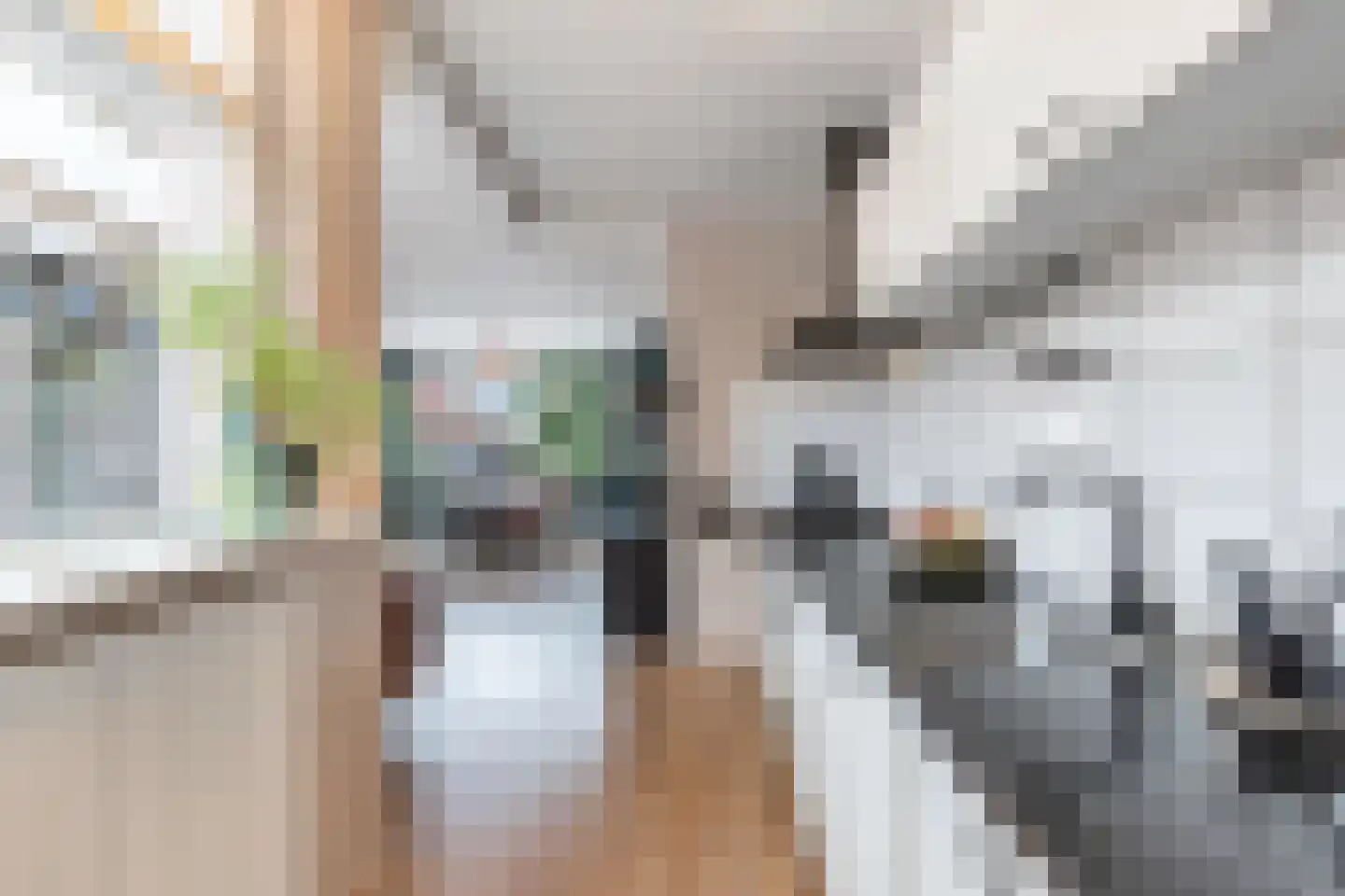 Schoolstraat 6 Burgwerd thumbnail 17