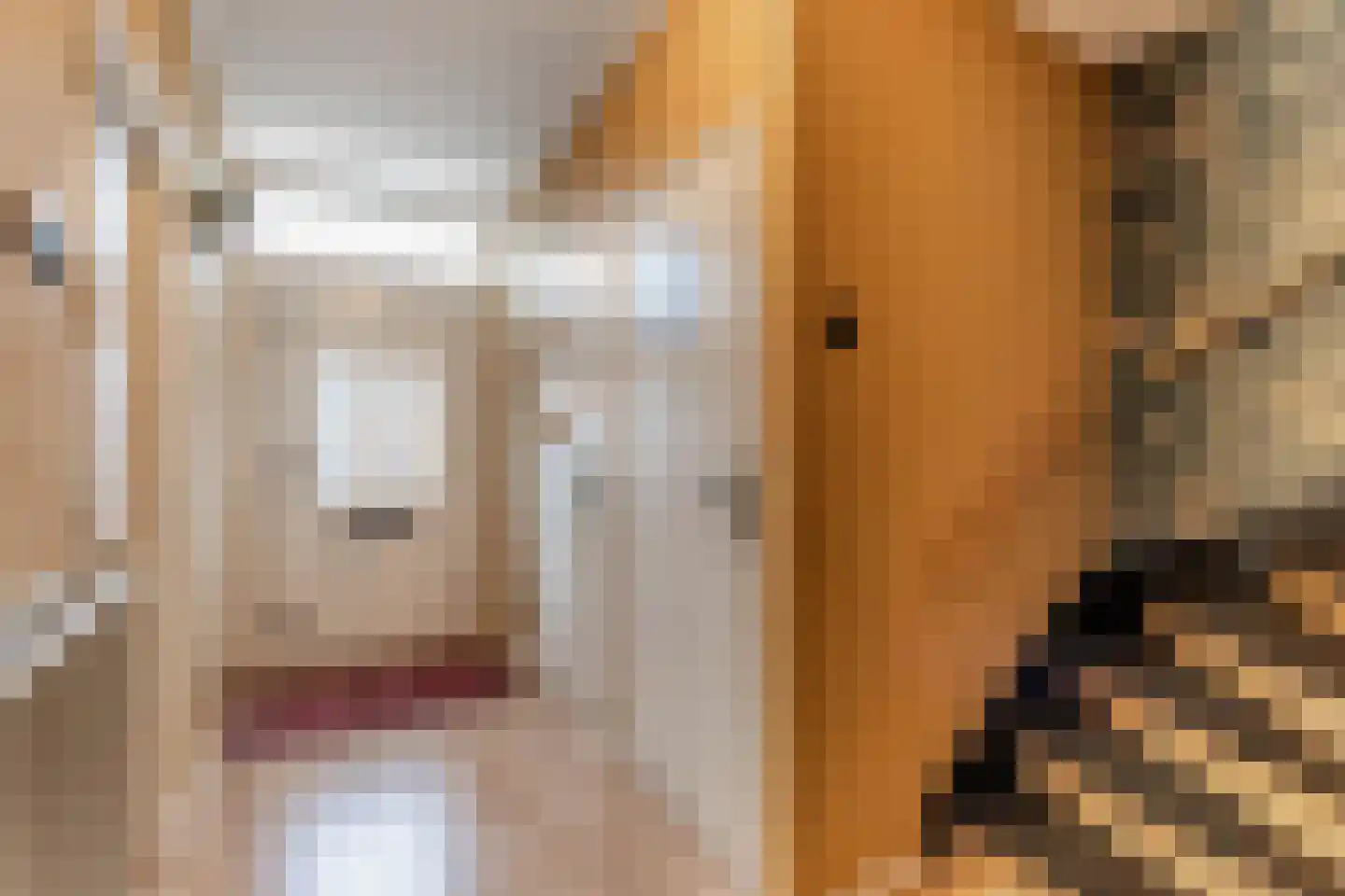 Schoolstraat 6 Burgwerd thumbnail 18