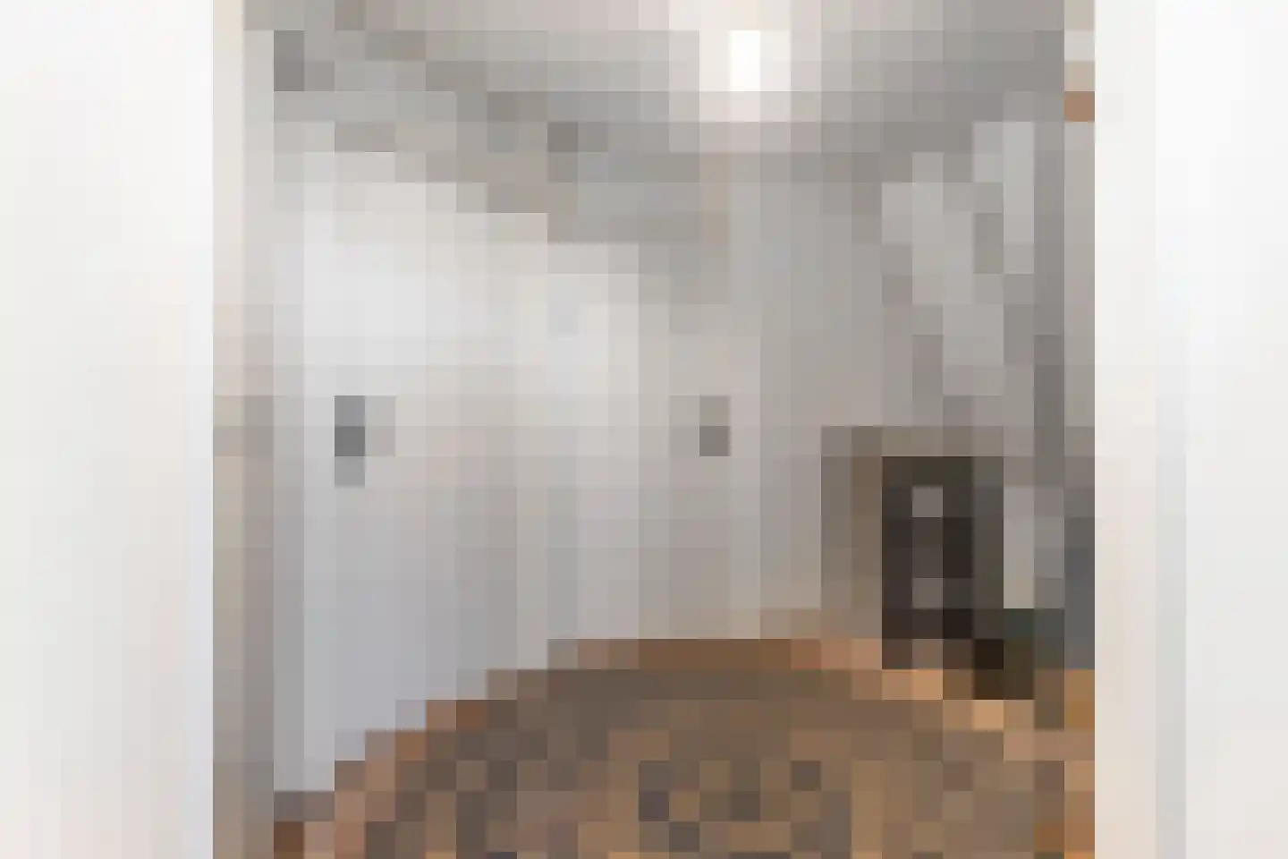 Schoolstraat 6 Burgwerd thumbnail 20