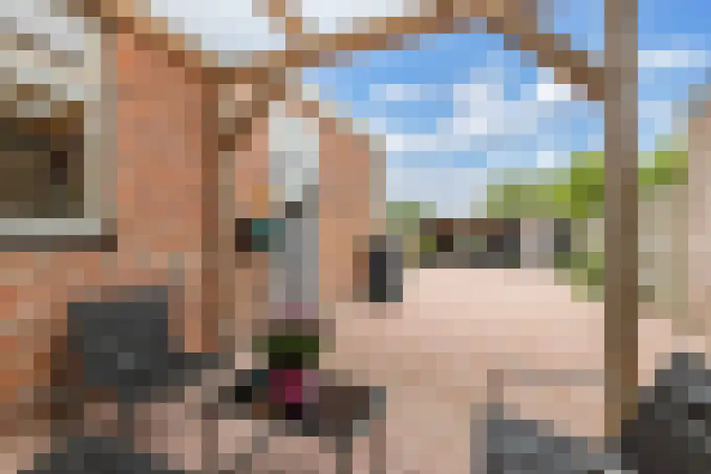 Schoolstraat 6 Burgwerd thumbnail 30