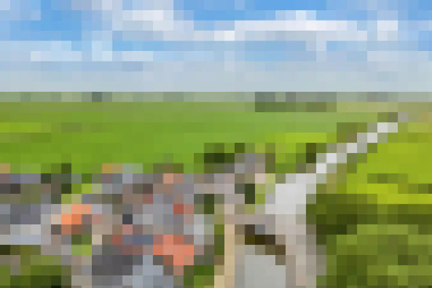 Schoolstraat 6 Burgwerd thumbnail 40