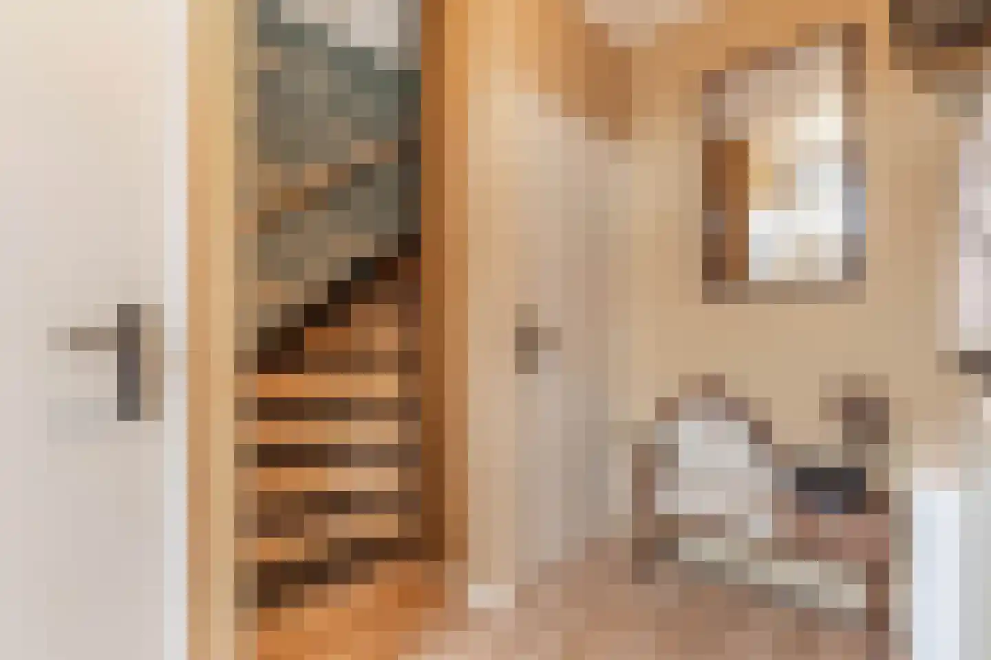 Schoolstraat 6 Burgwerd thumbnail 6