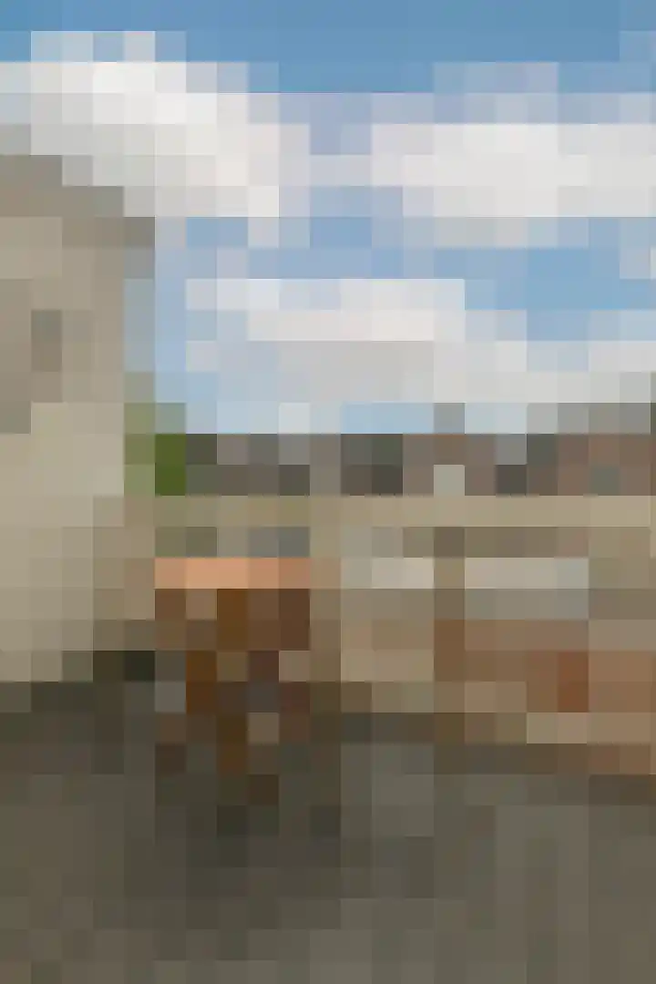 Schoolstraat 6 C Amsterdam thumbnail 11