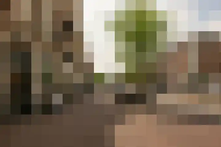Schoolstraat 6 C Amsterdam thumbnail 35