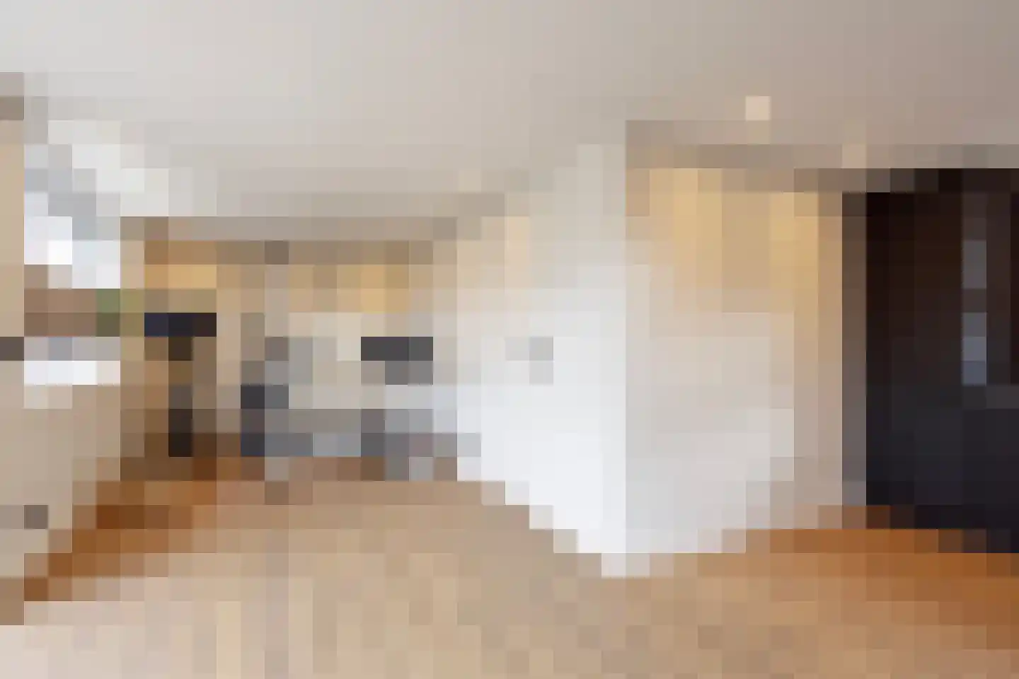 Schoolstraat 6 Castricum thumbnail 53