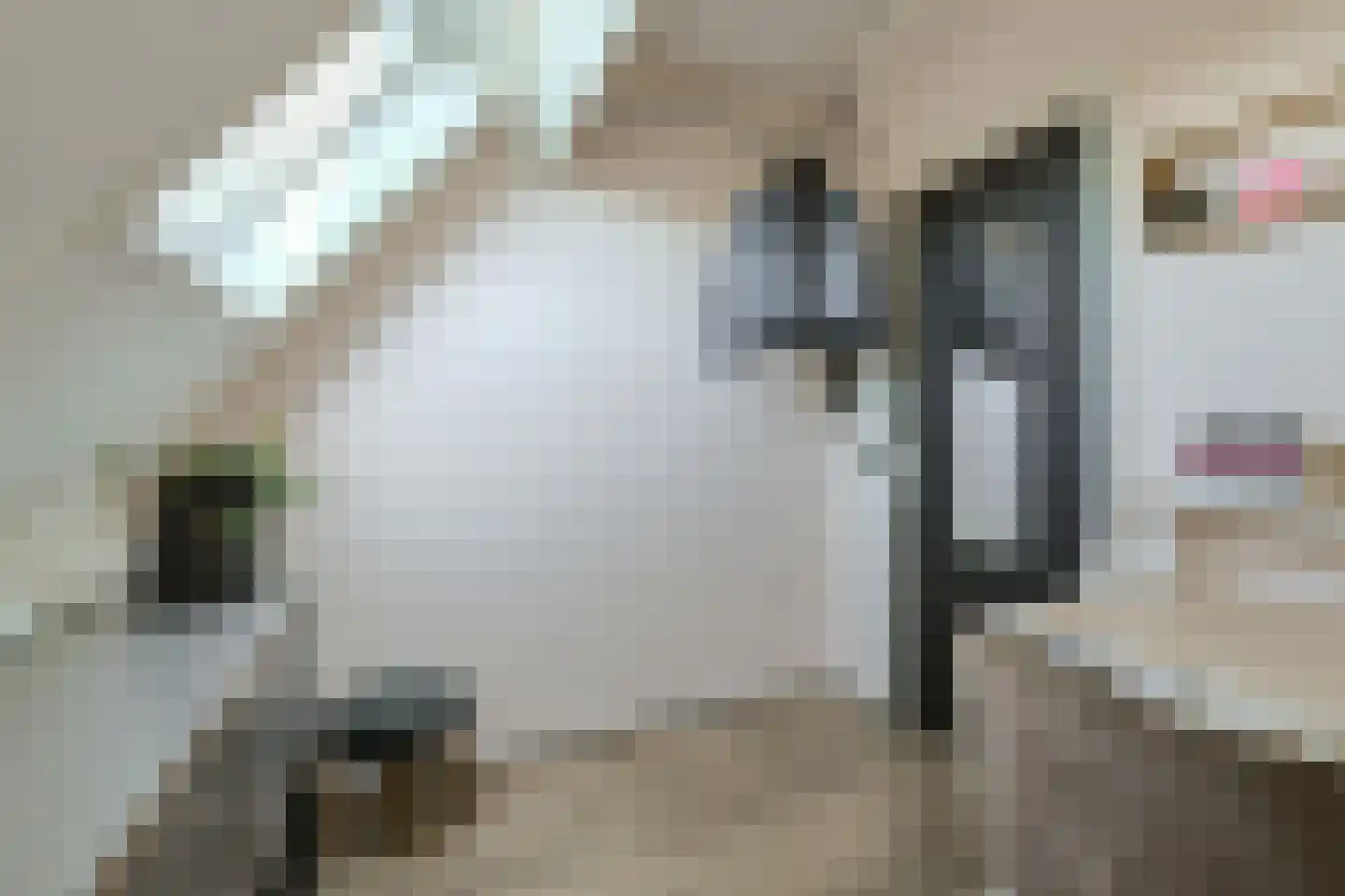 Schoolstraat 6 D Breda thumbnail 24