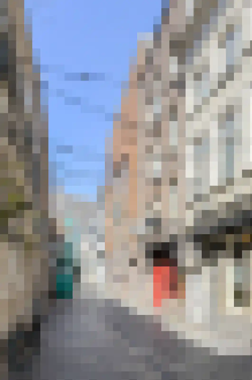 Schoolstraat 6 D Breda thumbnail 26