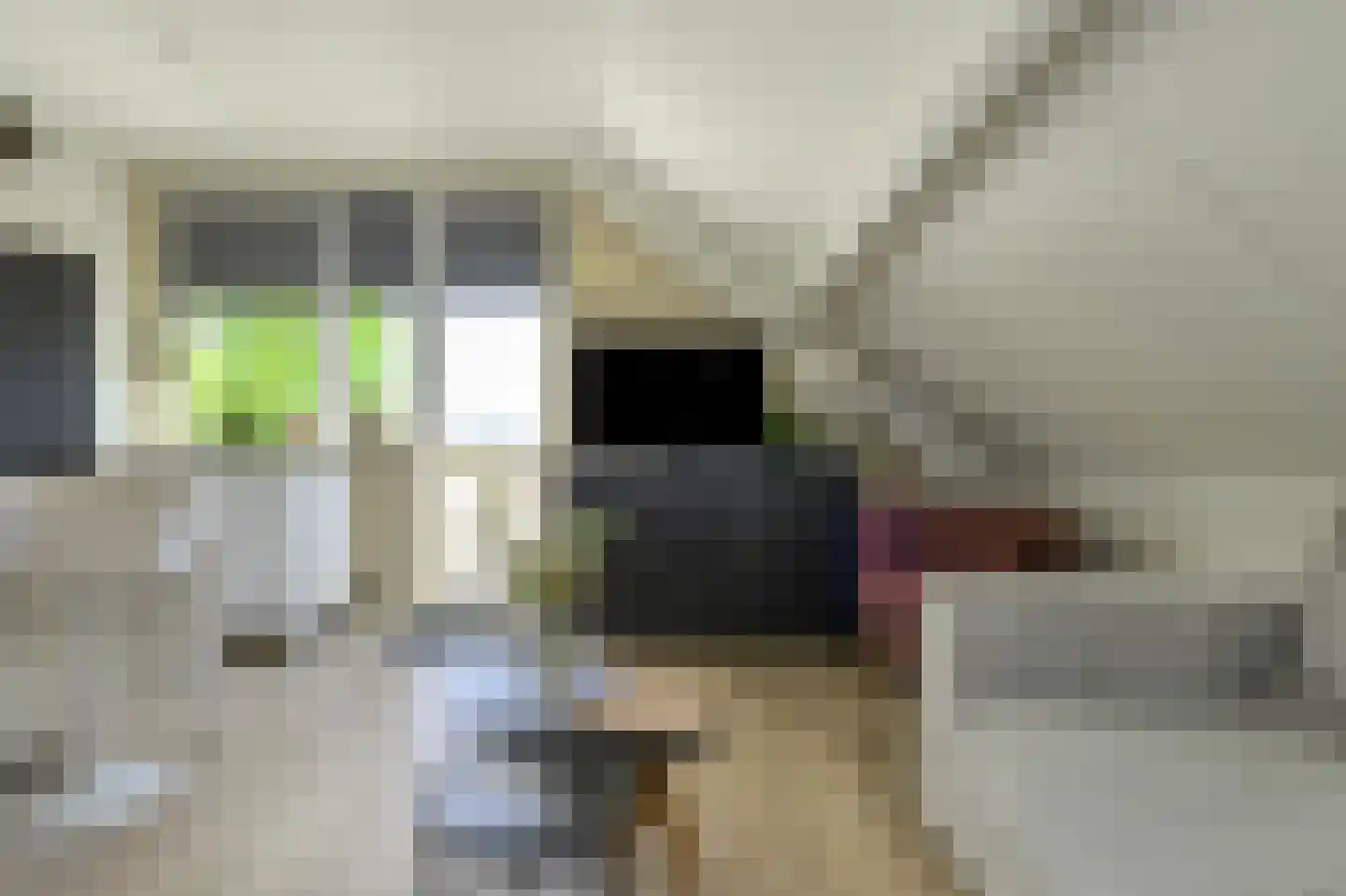 Schoolstraat 6 D Breda thumbnail 7