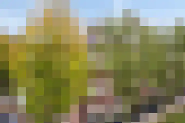 Schoolstraat 6 H Oss thumbnail 10