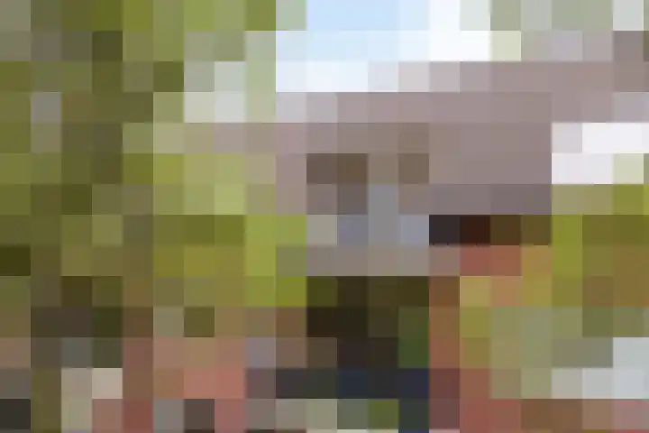 Schoolstraat 6 H Oss thumbnail 12