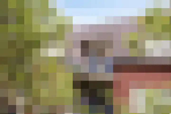 Schoolstraat 6 H Oss thumbnail 13