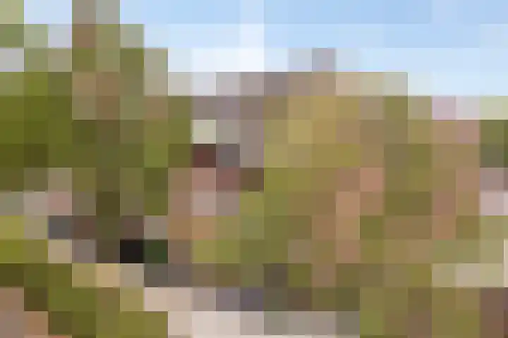 Schoolstraat 6 H Oss thumbnail 14