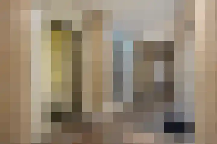 Schoolstraat 6 H Oss thumbnail 18