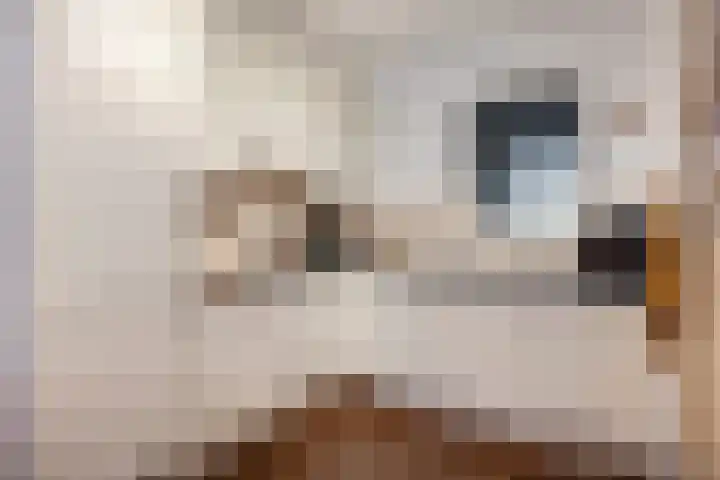 Schoolstraat 6 H Oss thumbnail 24