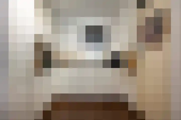 Schoolstraat 6 H Oss thumbnail 25
