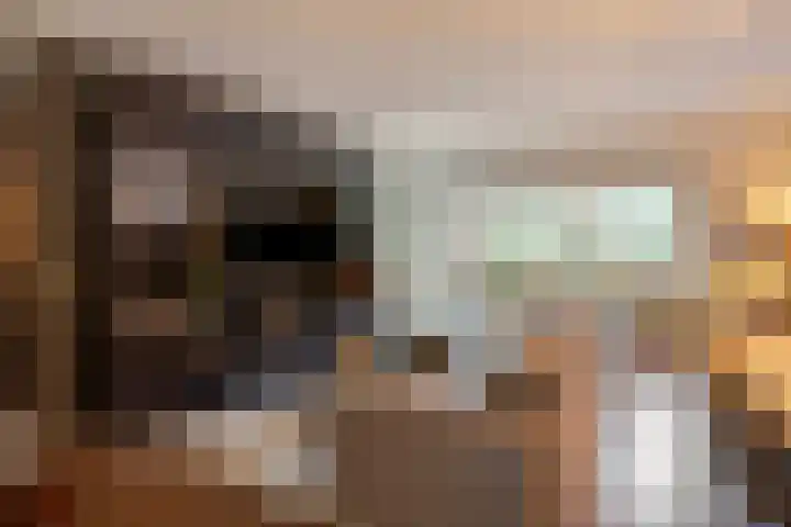 Schoolstraat 6 H Oss thumbnail 27