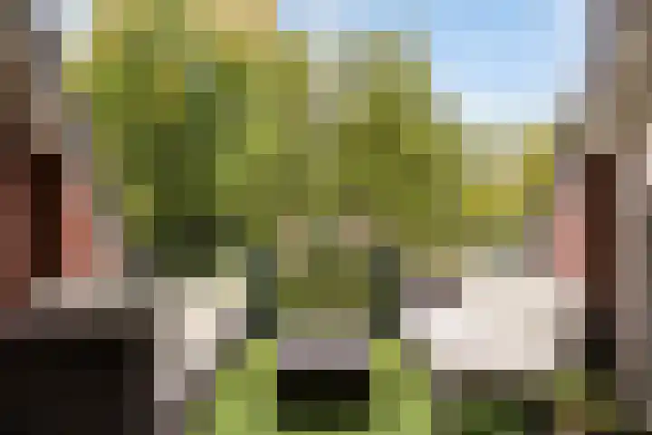 Schoolstraat 6 H Oss thumbnail 35