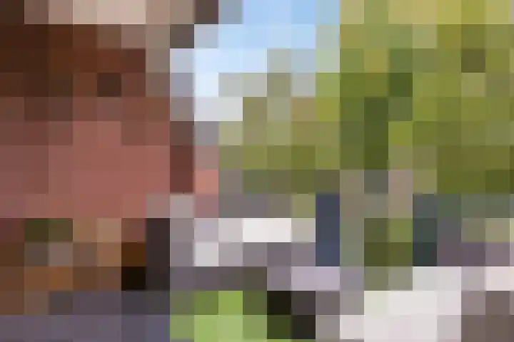 Schoolstraat 6 H Oss thumbnail 36