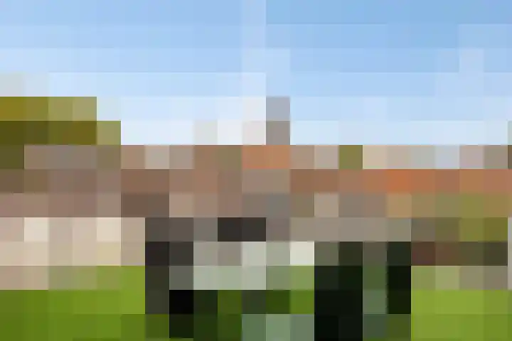 Schoolstraat 6 H Oss thumbnail 38