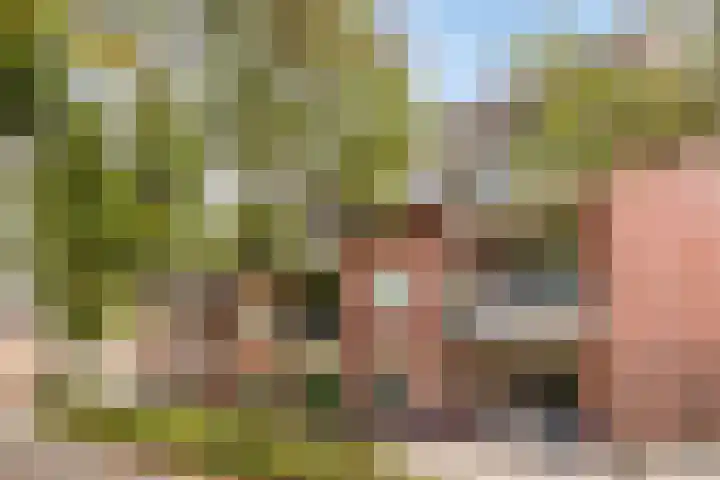 Schoolstraat 6 H Oss thumbnail 5