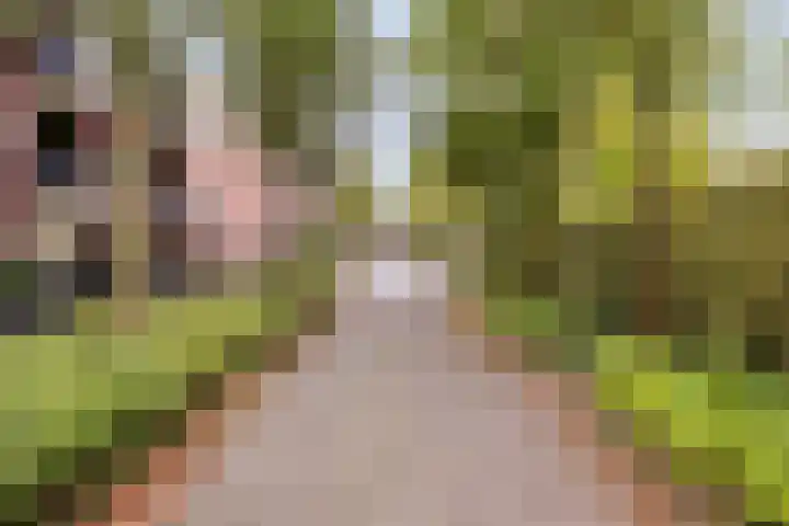 Schoolstraat 6 H Oss thumbnail 7