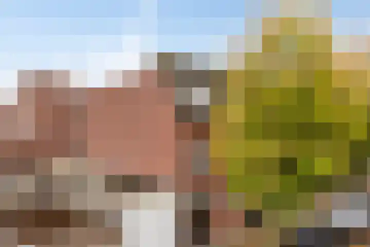 Schoolstraat 6 H Oss thumbnail 8