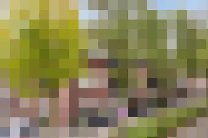 Schoolstraat 6 H Oss thumbnail 9