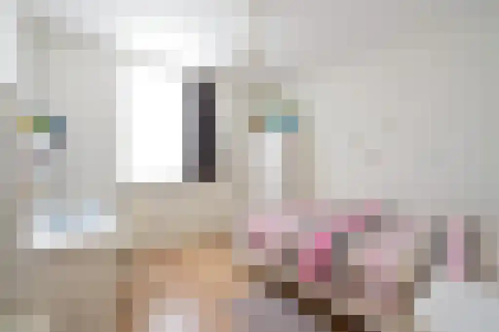 Schoolstraat 6 Moergestel thumbnail 17