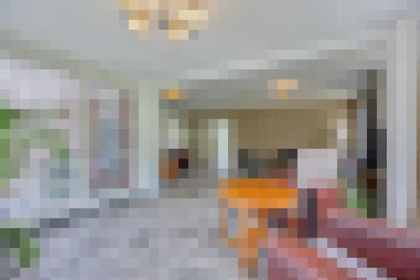 Schoolstraat 6 Nieuw Beerta thumbnail 23