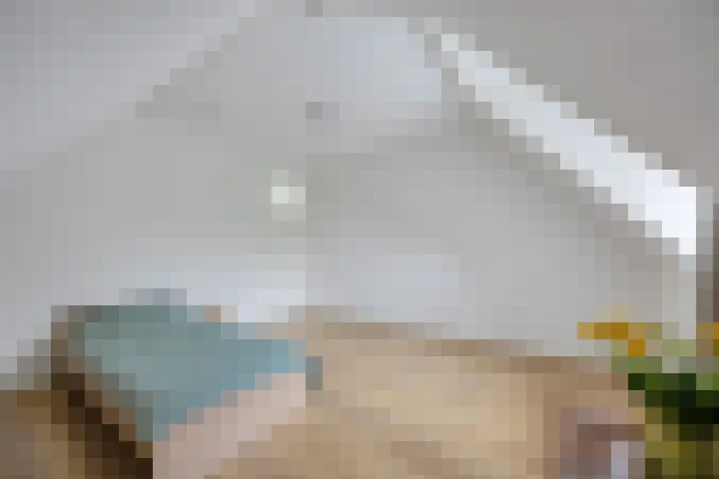Schoolstraat 6 Nieuw Beerta thumbnail 40