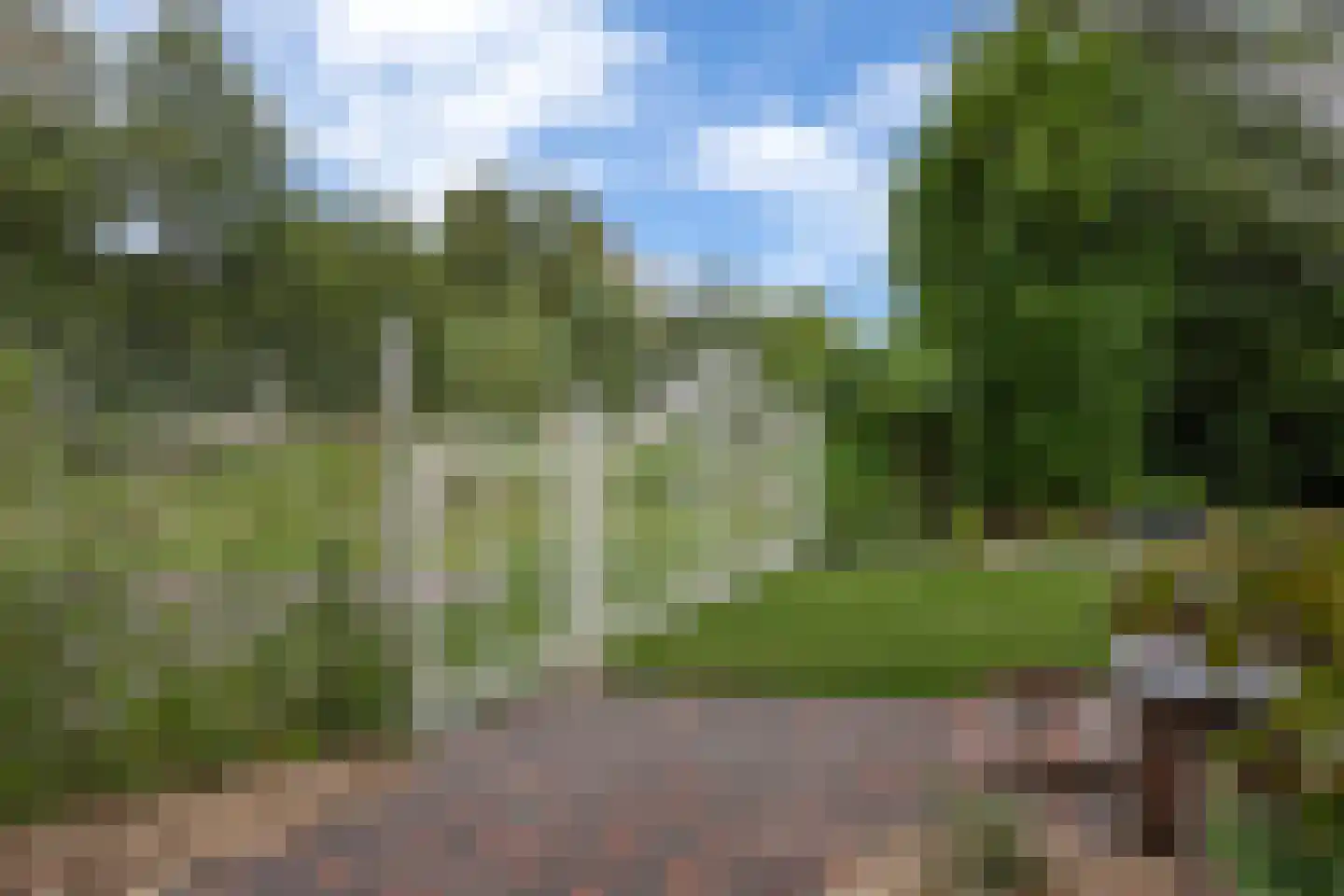 Schoolstraat 6 Nieuw Beerta thumbnail 61