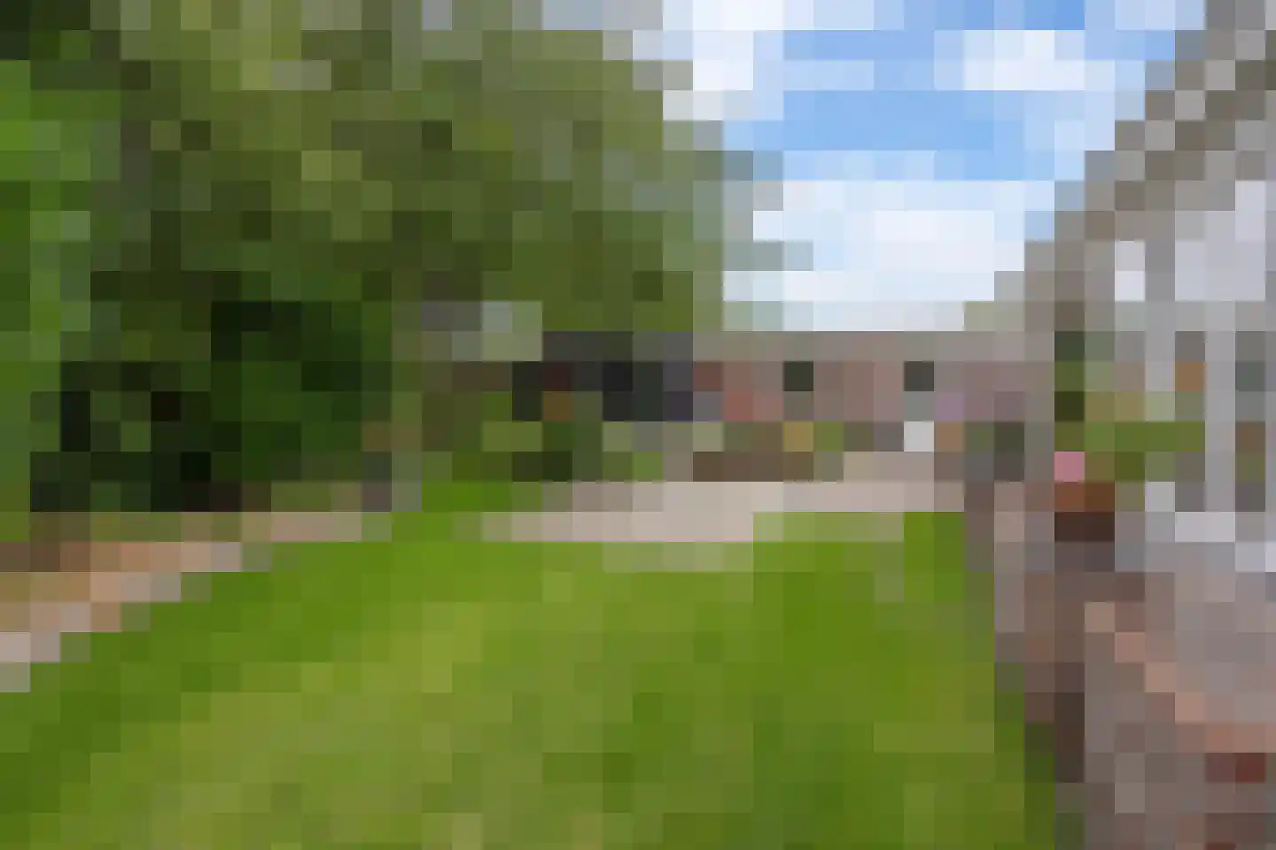 Schoolstraat 6 Nieuw Beerta thumbnail 62