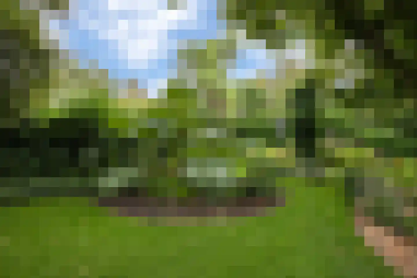 Schoolstraat 6 Nieuw Beerta thumbnail 64