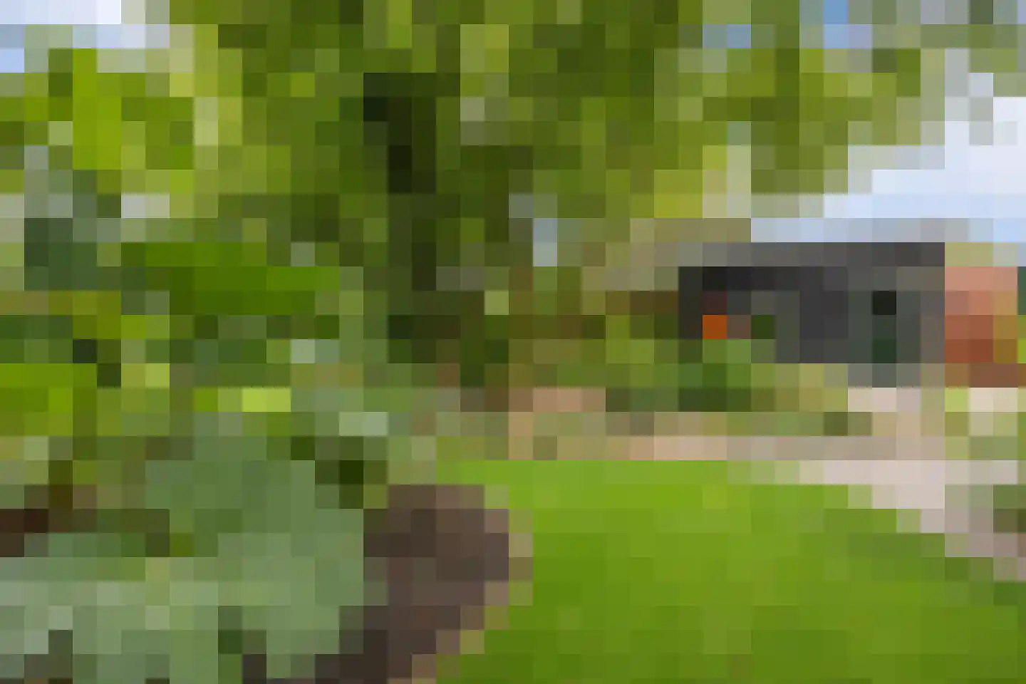 Schoolstraat 6 Nieuw Beerta thumbnail 65