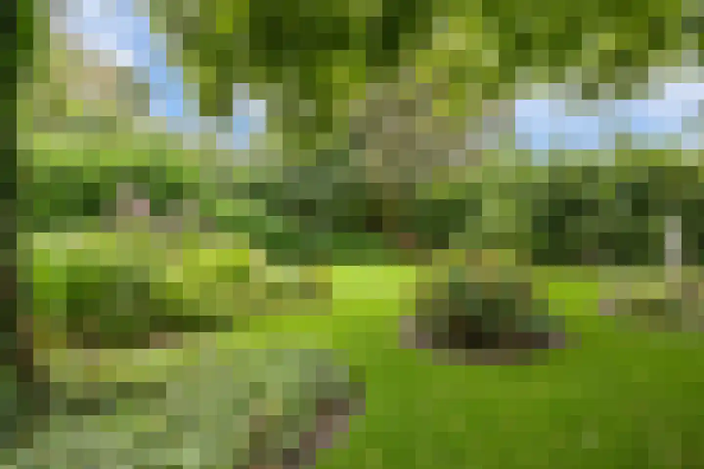 Schoolstraat 6 Nieuw Beerta thumbnail 68