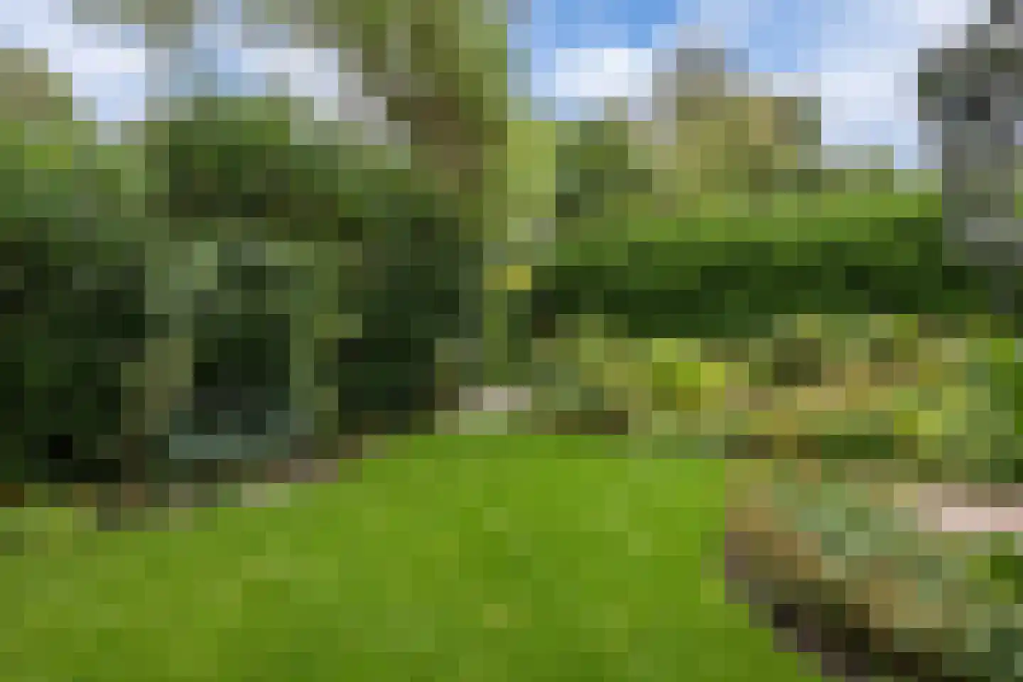 Schoolstraat 6 Nieuw Beerta thumbnail 69