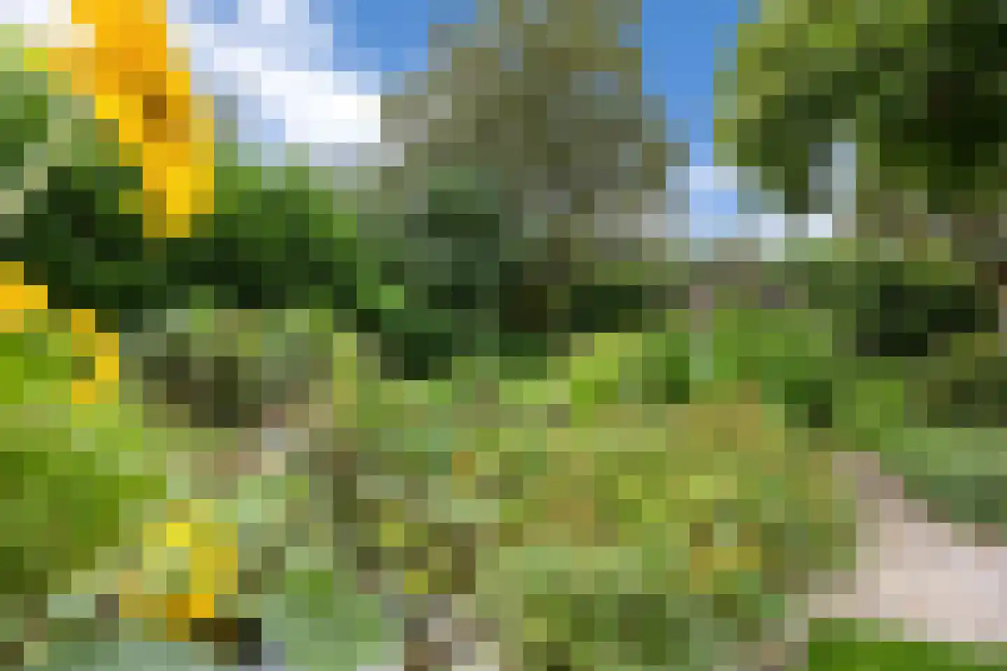Schoolstraat 6 Nieuw Beerta thumbnail 70