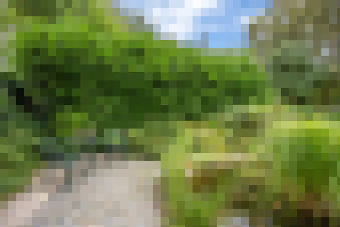 Schoolstraat 6 Nieuw Beerta thumbnail 71