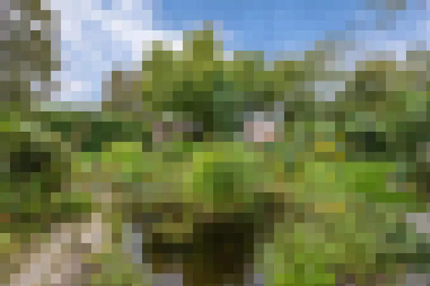 Schoolstraat 6 Nieuw Beerta thumbnail 73