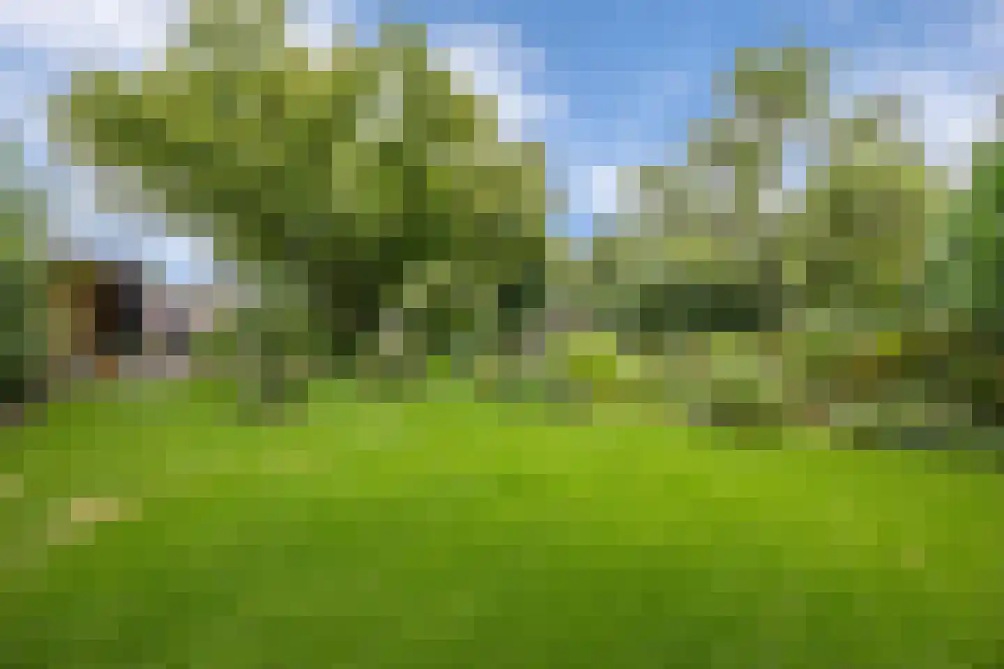 Schoolstraat 6 Nieuw Beerta thumbnail 74