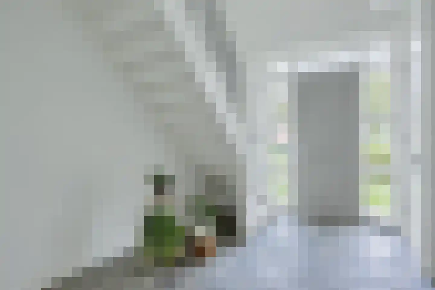 Schoolstraat 6 Nieuw Beerta thumbnail 8