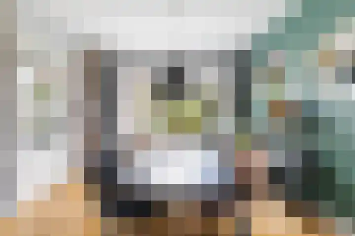 Schoolstraat 6 Nieuwegein thumbnail 12