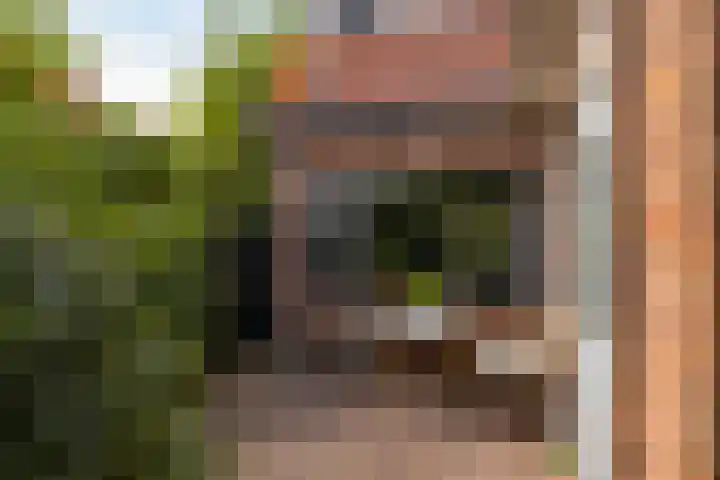 Schoolstraat 6 Nieuwegein thumbnail 23