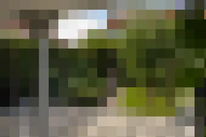 Schoolstraat 6 Nieuwegein thumbnail 28