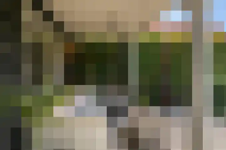 Schoolstraat 6 Nieuwegein thumbnail 29